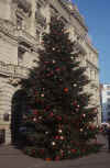 christmas-tree-lc.jpg (200424 Byte) christmastree