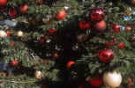 christmas-tree-ne.jpg (230203 Byte) decoration christmas tree