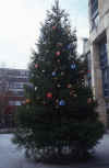 weihnachtsbaum.jpg (142428 Byte) christmas tree presents