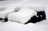 cars-snow-photo.jpg (179714 Byte) winter