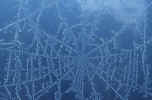 frost-pattern.jpg (279510 Byte) winter