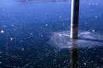ice-lake-6w7u.jpg (143961 Byte) picture ice