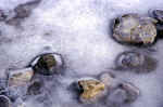 ice-stones-2il4.jpg (144093 Byte) photos stones