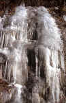 icicle-a19w.jpg (144057 Byte) picture ice
