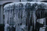 icicle-picture.jpg (171307 Byte) winter