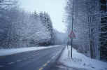 road_winter-photo-7u.jpg (236143 Byte) winter