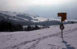 sign_post-snow.jpg (149560 Byte) winter
