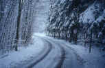 snow_road-winter.jpg (236444 Byte) winter