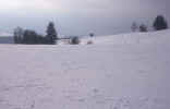 snow_winter_photo.jpg (125894 Byte) winter