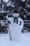 snowman-9l6t.jpg (171216 Byte) schneemann