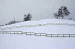 winter-fence-l8u.jpg (99088 Byte) images winter