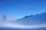 winter-fog_trees.jpg (83774 Byte) winter