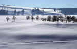winter-picture-lq.jpg (129523 Byte) winter landscape