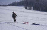 winter-sledge-picture.jpg (161768 Byte) winter