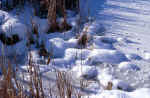 winter-snow-47u8.jpg (176575 Byte) image winter