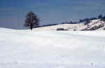 winter_snow-9y.jpg (102316 Byte) winter snow photo image